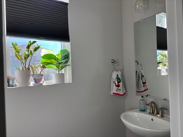 2828 Low Meadow Blvd in Castle Rock, CO - Building Photo - Building Photo