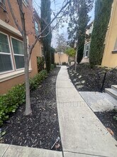 3203 Vittoria Loop in Dublin, CA - Building Photo - Building Photo