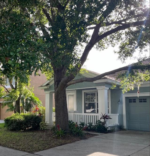 1112 Nashville Dr in Wesley Chapel, FL - Building Photo