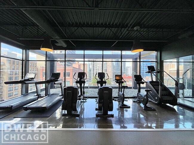 700 N La Salle Dr, Unit 1 in Chicago, IL - Building Photo - Building Photo