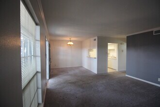 8401 N New Braunfels Ave in San Antonio, TX - Foto de edificio - Building Photo