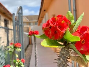 6411 W 22nd Ct in Hialeah, FL - Building Photo - Building Photo