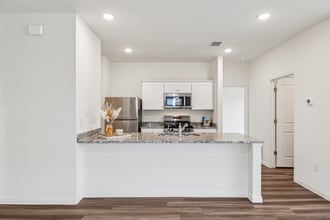 1516 Morris Lp in San Marcos, TX - Building Photo - Building Photo