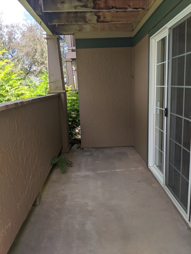 8101 Elk Ln, Unit 8101 Elk Ln in Basalt, CO - Building Photo - Building Photo