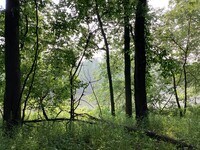 5454 N River Rd photo'