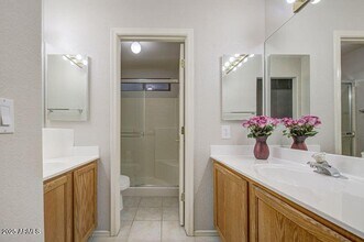 15025 W Bottle Tree Ave in Surprise, AZ - Building Photo - Building Photo
