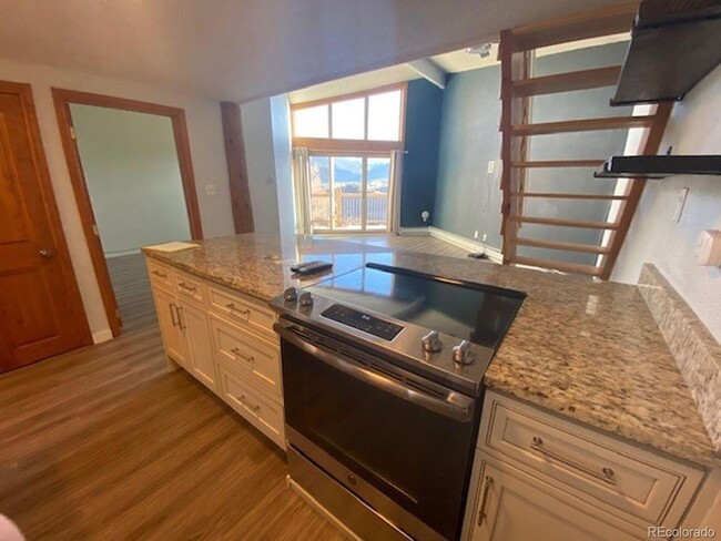 property at 2426 Ryan Gulch Ct