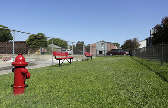 Azur in Waco, TX - Foto de edificio - Building Photo