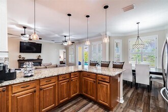 539 Treviso Dr in Apollo Beach, FL - Building Photo - Building Photo