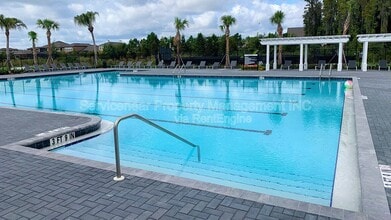 1652 Colt Creek Pl in Wesley Chapel, FL - Building Photo - Building Photo