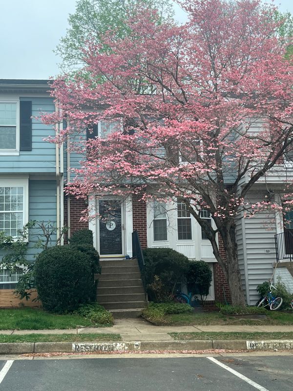 property at 107 Bentley Ct