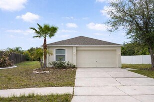 13630 Silver Charm Ct in Riverview, FL - Building Photo