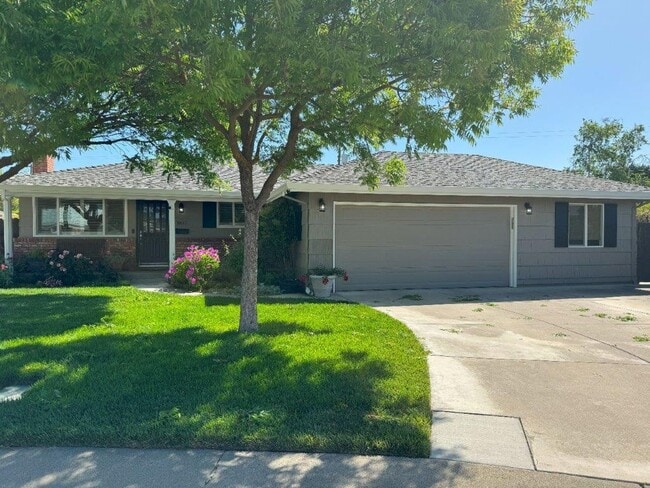 1617 Carnellan Ct in Woodland, CA - Building Photo - Building Photo
