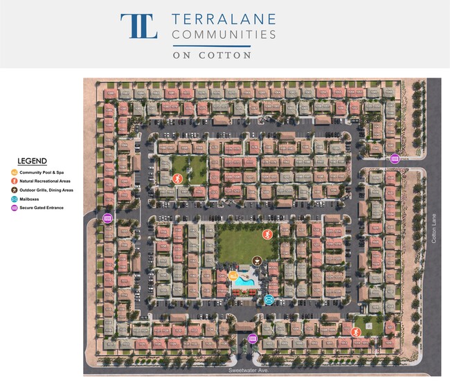 TerraLane on Cotton