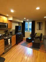 15 Dartmouth St, Unit 1 in Boston, MA - Building Photo