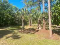 5891 Star Grass Ln in Naples, FL - Building Photo - Building Photo