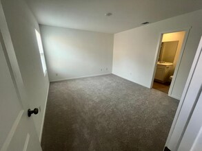 1513 Pile Trl in New Braunfels, TX - Building Photo - Building Photo
