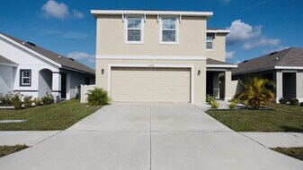 11730 White Willow Ln in Riverview, FL - Building Photo