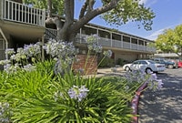 Castle Hill Apartments photo'