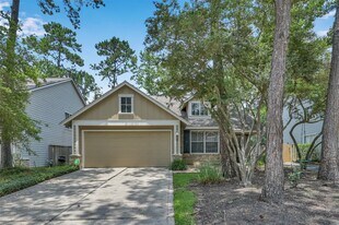 24 E New Avery Pl in Spring, TX - Building Photo