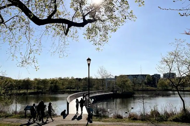 134 Jasper Pl in Alexandria, VA - Building Photo - Building Photo