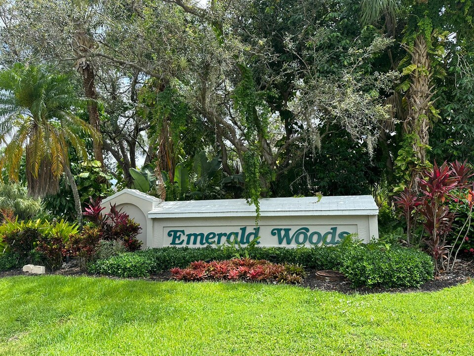 60 Emerald Woods Dr in Naples, FL - Building Photo