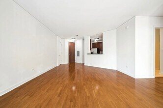 420 E Waterside Dr in Chicago, IL - Building Photo - Building Photo