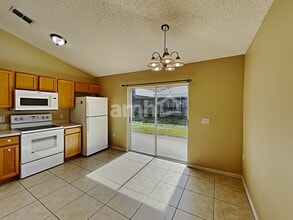 30326 Pongo Way in Wesley Chapel, FL - Building Photo - Building Photo