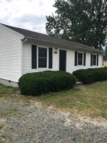 206 Hayward Ave in Fruitland, MD - Building Photo