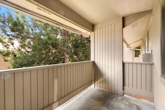 710 City Park Ave in Fort Collins, CO - Building Photo - Building Photo