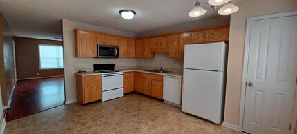 221 Lady Alice Ct in Clarksville, TN - Building Photo - Building Photo