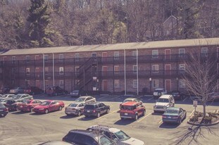 Cardinal in Boone, NC - Building Photo
