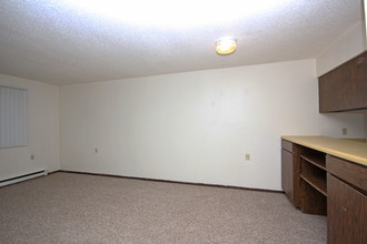 Birch Lake Apartments in Hackensack, MN - Building Photo - Building Photo