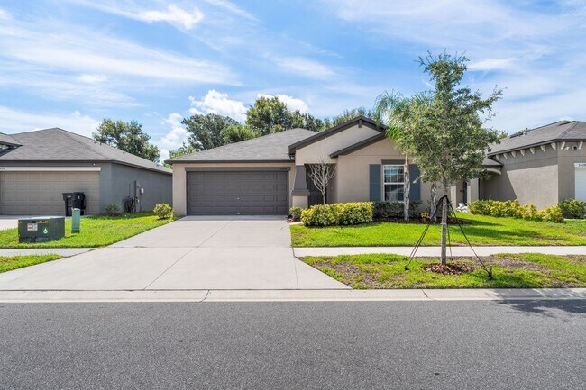 5524 Blue Azure Dr in Wimauma, FL - Building Photo - Building Photo
