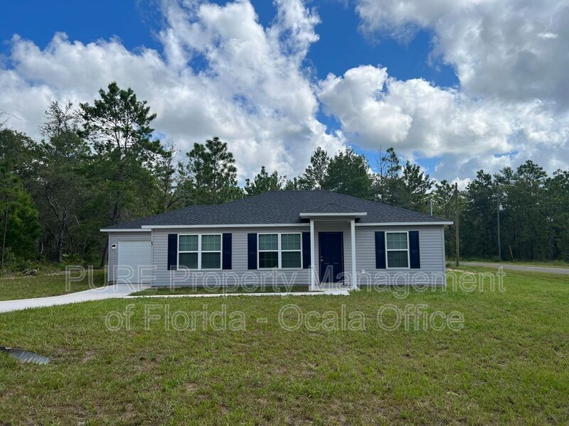 65 Guava Pass Dr in Ocklawaha, FL - Building Photo
