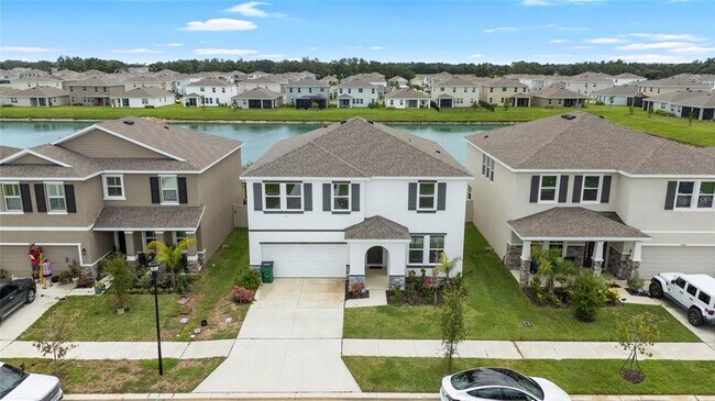 33675 Elm Hl Br in Wesley Chapel, FL - Building Photo - Building Photo