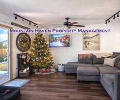 1764 Clear Creek Dr in Georgetown, CO - Building Photo