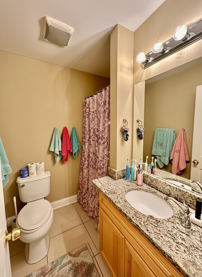 74 Egmont St in Brookline, MA - Building Photo - Building Photo