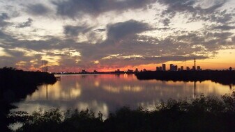 4822 Tuscan Loon Drive in Tampa, FL - Building Photo