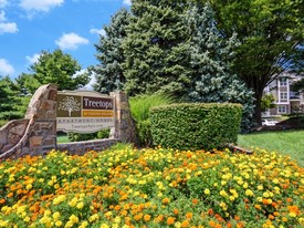 Treetops at ChesterHollow Apartments