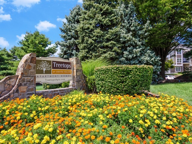 Treetops at ChesterHollow in West Chester, PA - Building Photo