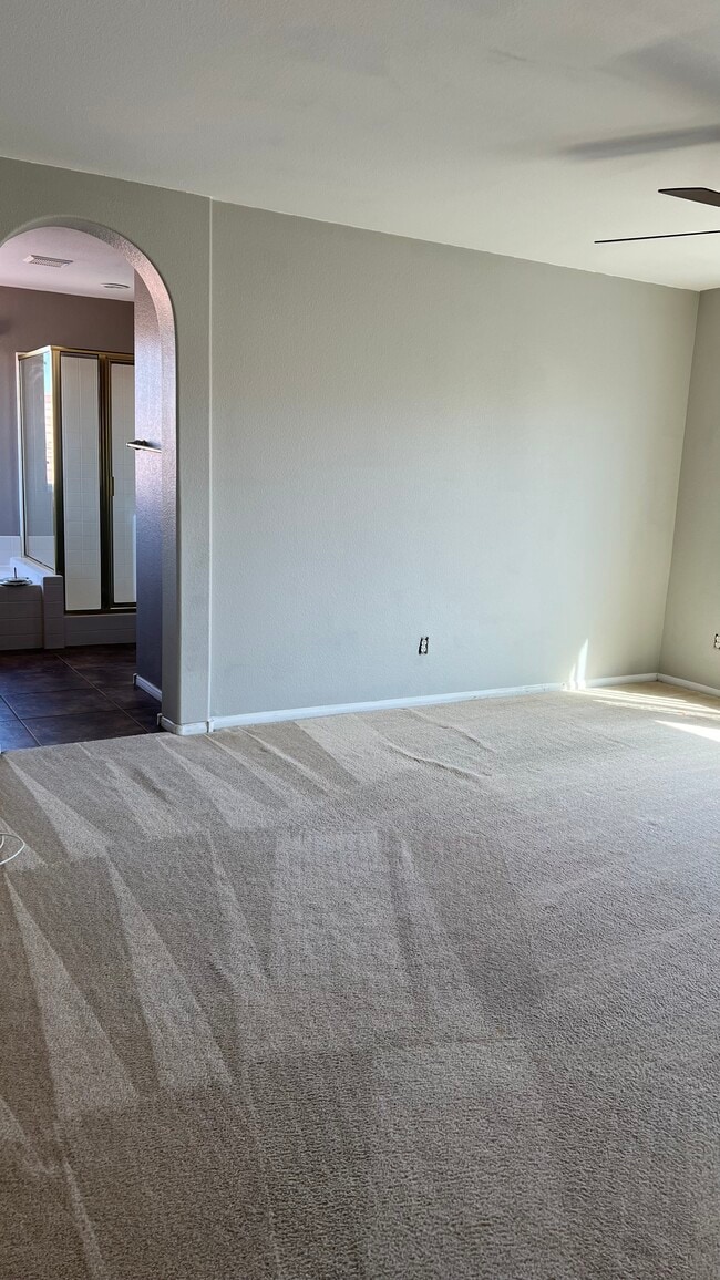 973 Trinity Pond Cir in Henderson, NV - Building Photo - Building Photo
