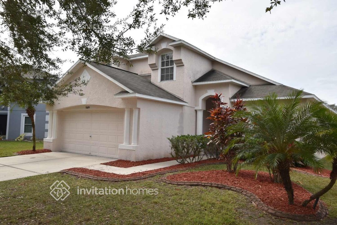 10024 Creek Bluff Dr in Riverview, FL - Building Photo