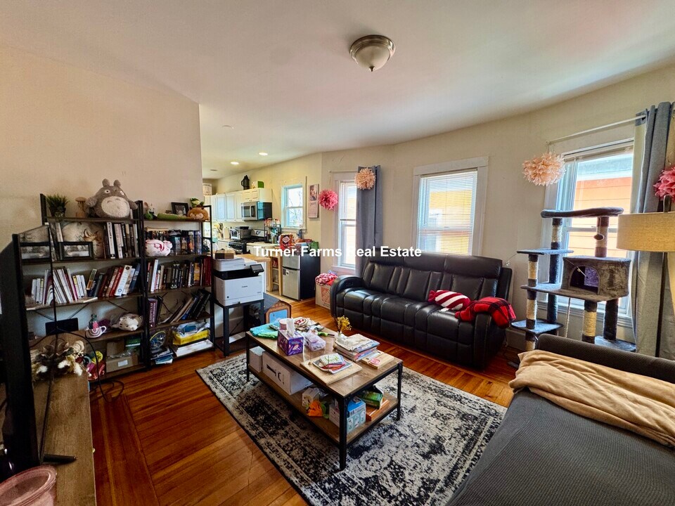17 Albion St, Unit 2 in Somerville, MA - Building Photo