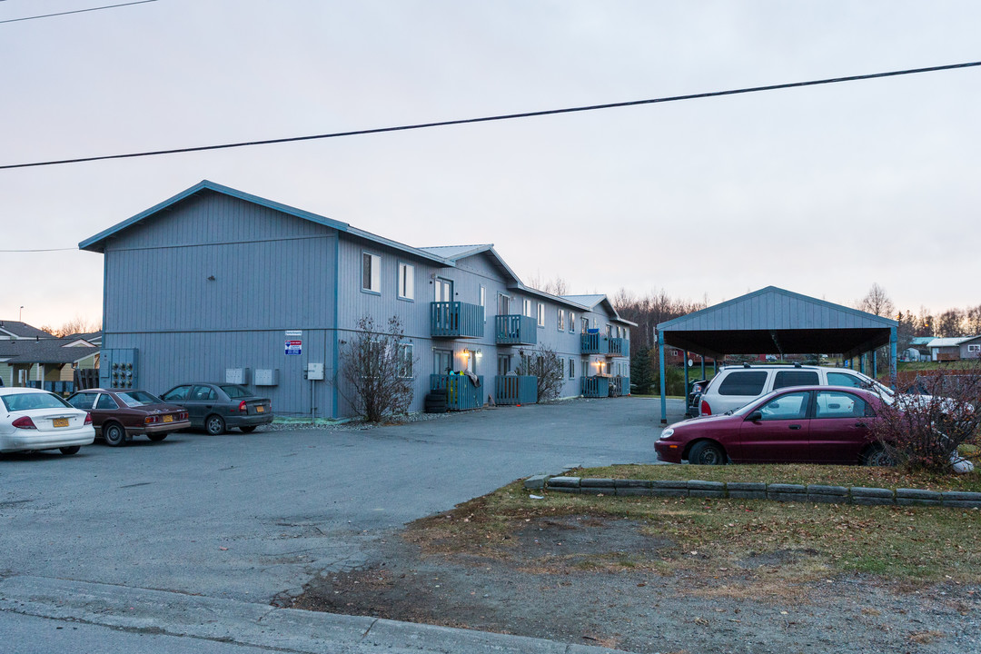 300 S Cobb in Palmer, AK - Building Photo