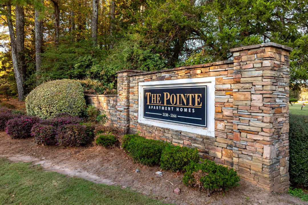 The Pointe in Stone Mountain, GA - Building Photo