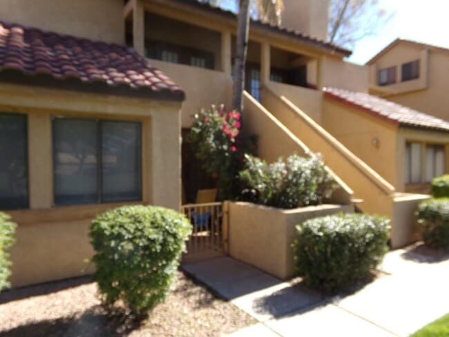 property at 4901 S Calle Los Cerros Dr