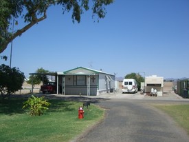 Cactus Tree Apartments