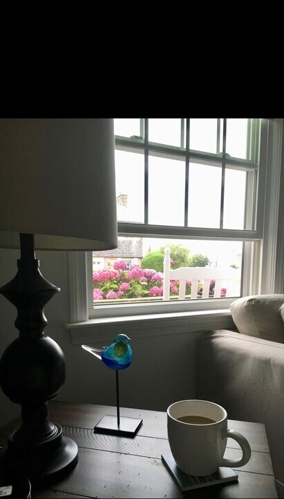 5 Louisburg Sq, Unit Heather Zacharakis in Centerville, MA - Building Photo