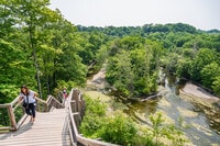 Apartments in North Olmsted, OH